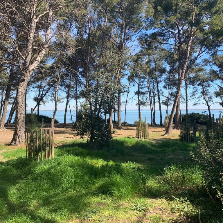 Maison de plage - Maison 2 Chambres - 57