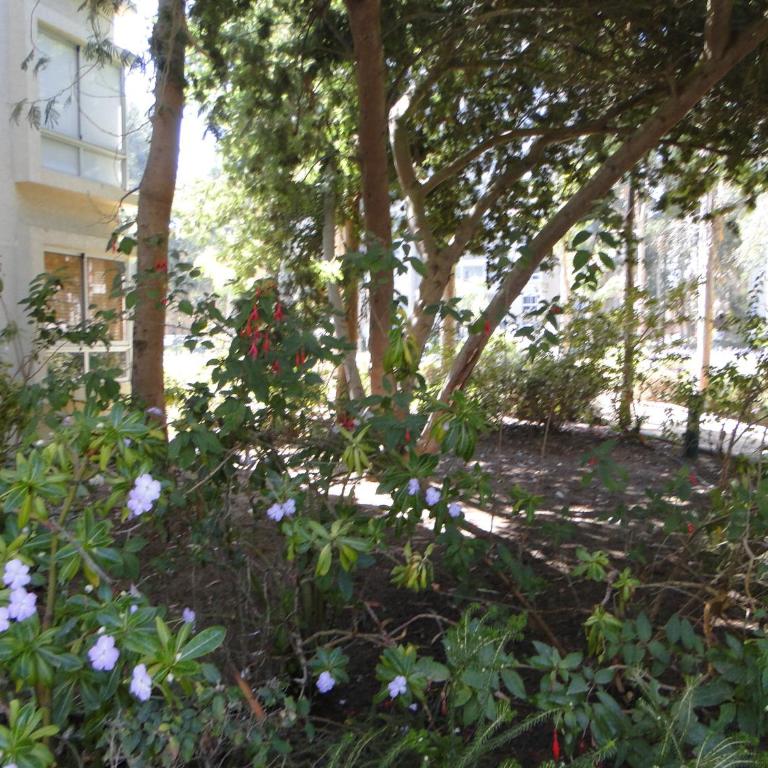 COSTA ALGARROBO - Apartamento de 3 dormitorios - 10