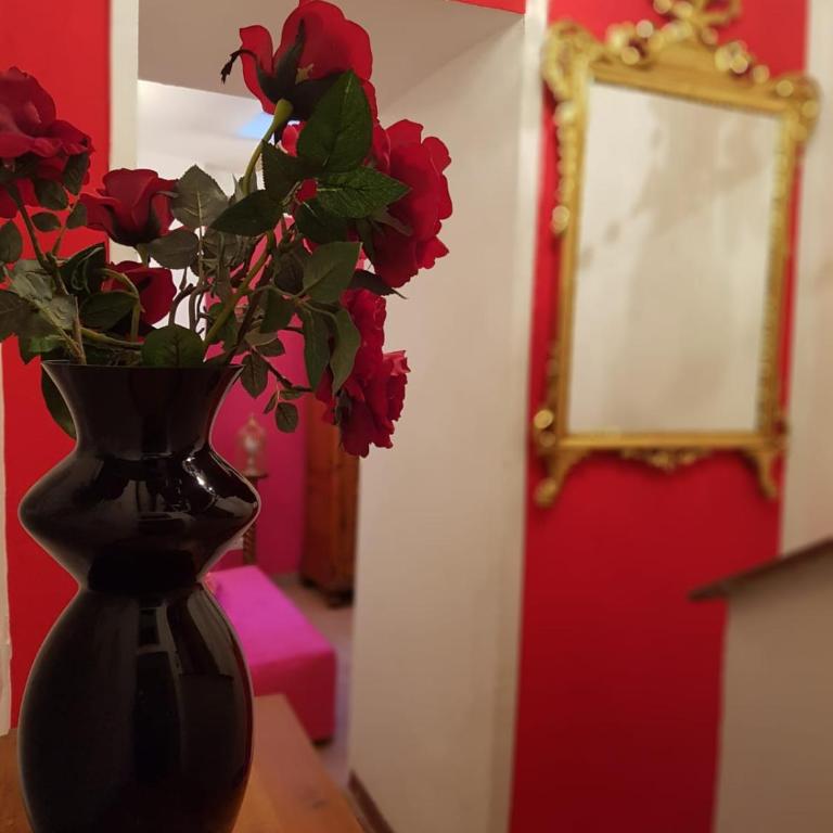 Casa Sophia - One-Bedroom Apartment - 15