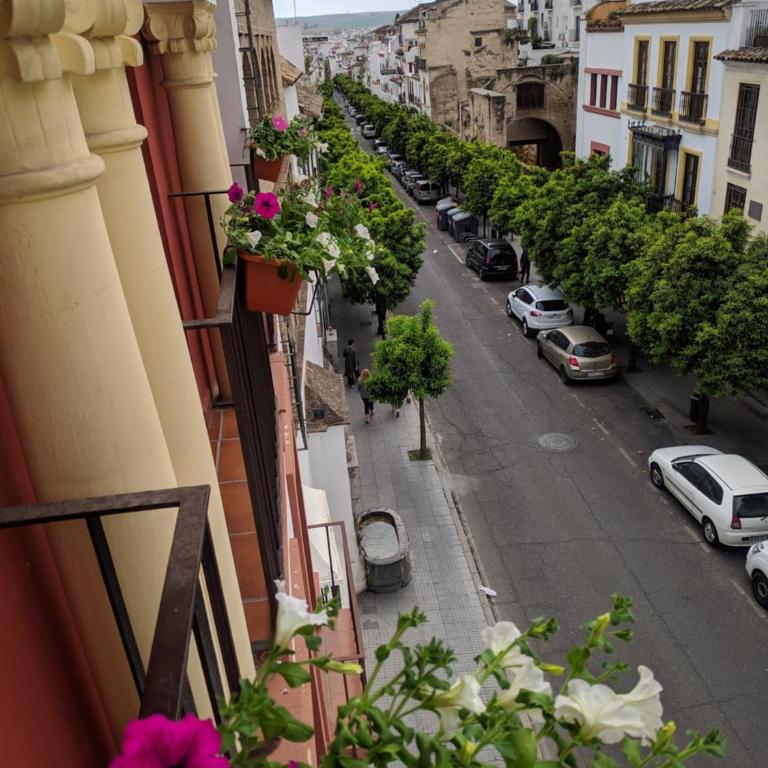 El Capricho de San Fernando, Consigna gratis y Parking a 200mts - Apartamento - 21