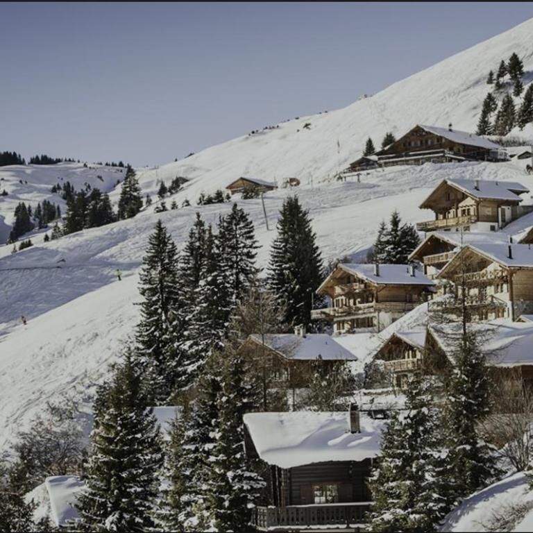 Chalet LYS Apartment 14 Rue Sigma - Apartment - 9