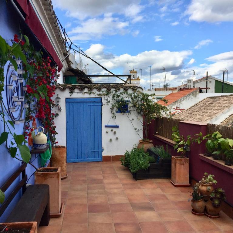 Atico Deluxe San Basilio - Apartamento - 21