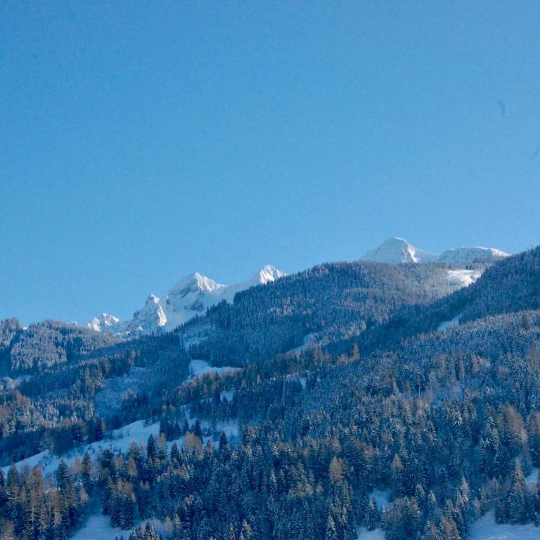 Landhaus Bergner Alm - Apartment mit Blick auf die Berge - 33