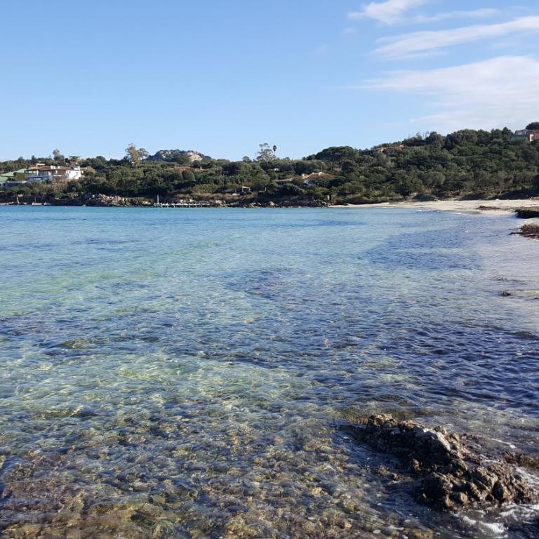 Appartamento Porto Rotondo - Appartamento - 11