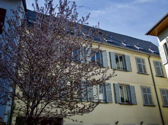 Appartement 3 pièces, Krutenau, Parking privé - Apartamento - 5
