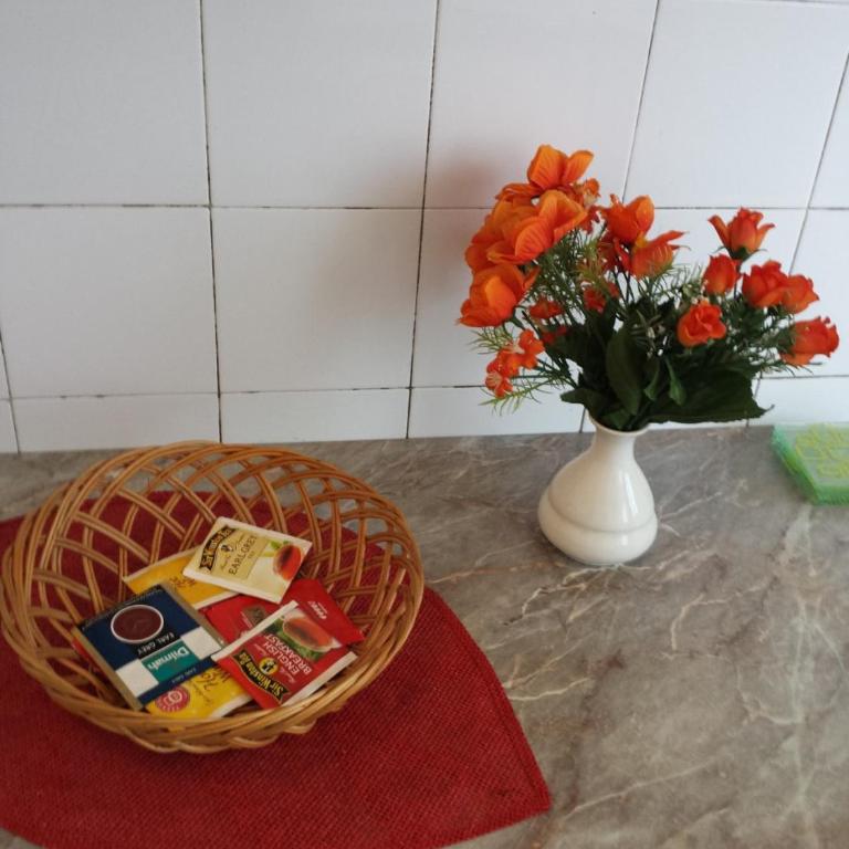 Apartman Centar Beograd - Apartman sa Terasom - 25