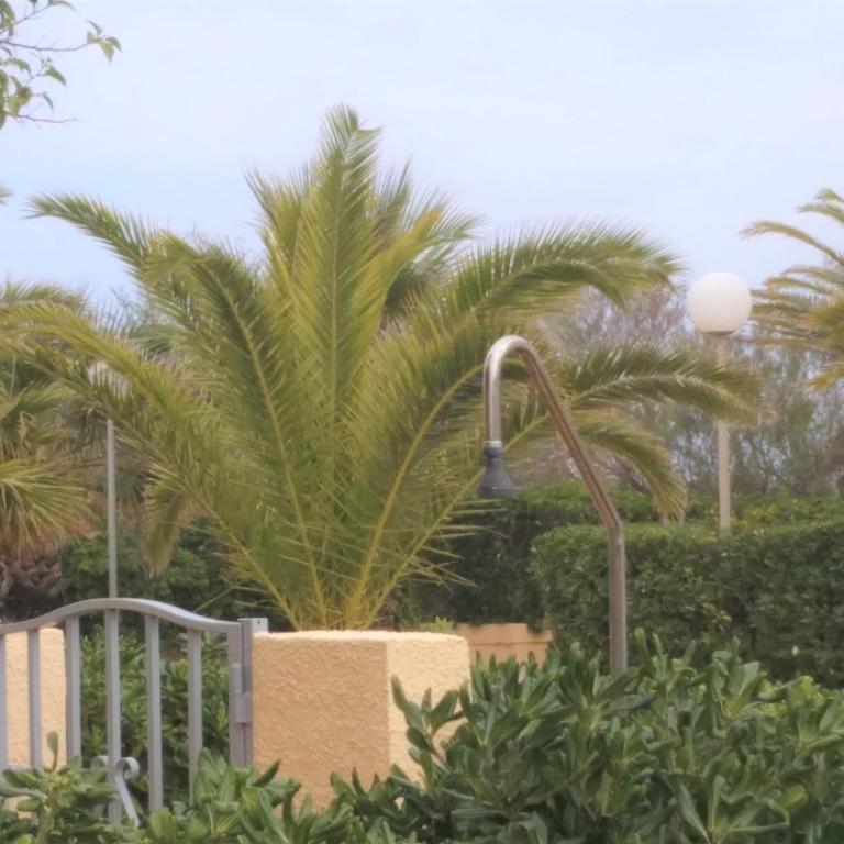 Residencial Olival-Acceso privado playa por jardín - Casa Unifamiliar de 3 dormitorios - 6