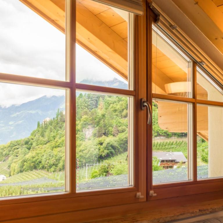 Weingut & Apartments Weitgruber Raffeis - Appartamento con 1 Camera da Letto - 5