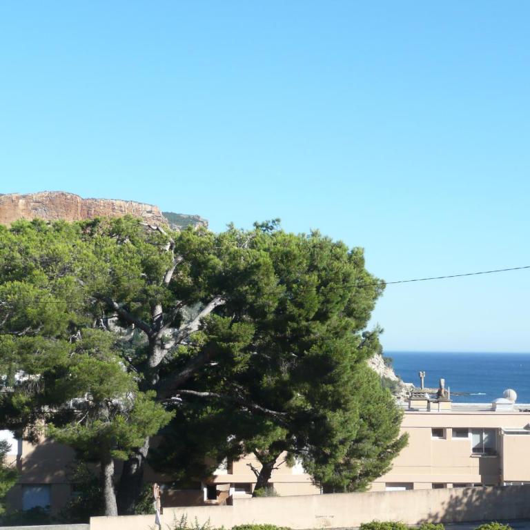 le Camelia - Appartement - 18