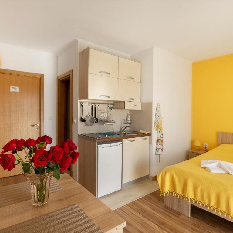 Apartments Viktoria - Studio - 3