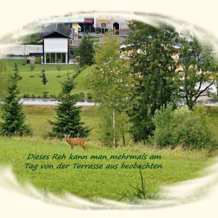 Apartment Dreier - Salzburger Land - Apartment mit 2 Schlafzimmern und Aussicht - 19