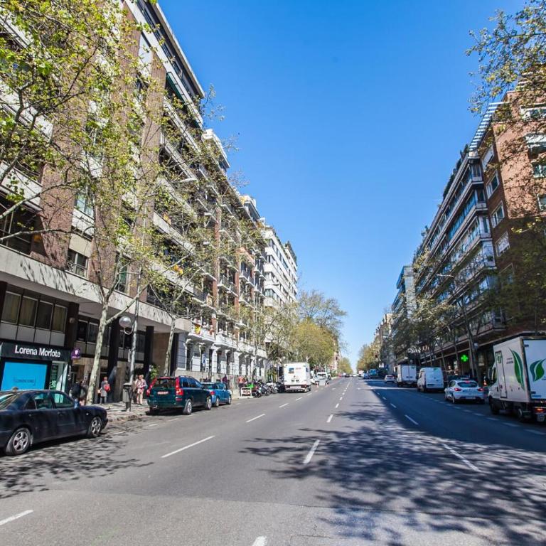 V73 Elegance & Comfort - Luxury in Barrio Salamanca - Apartment - 6