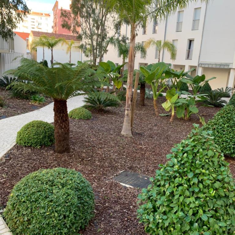 Studio les pieds dans l'eau Plage du Trottel - Appartement 1 Chambre - 13