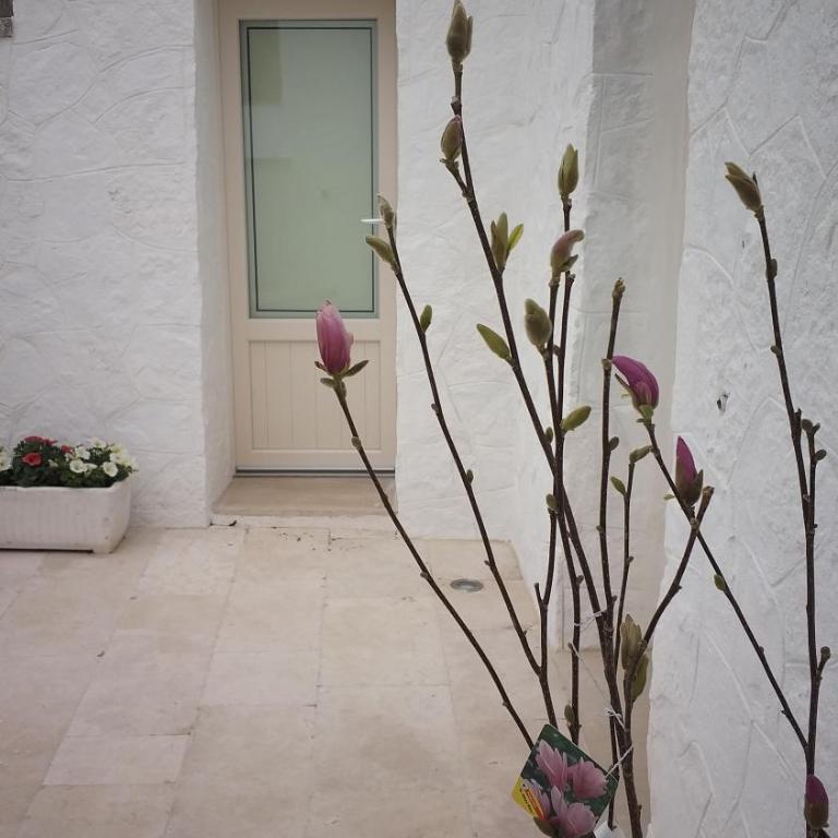 I trulli del fattore - Casa Vacanze - 8