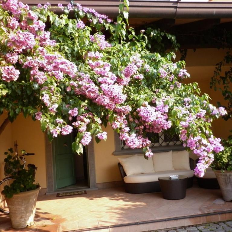 Deliziosa Villetta - Villa - 6