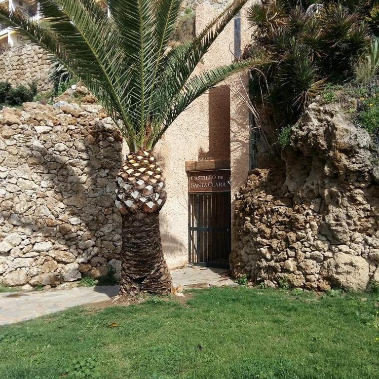Castillo de Santa Clara 05 - Apartamento de 1 dormitorio - 33
