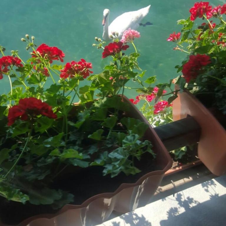 Apartman View Una - Three-Bedroom House - 39