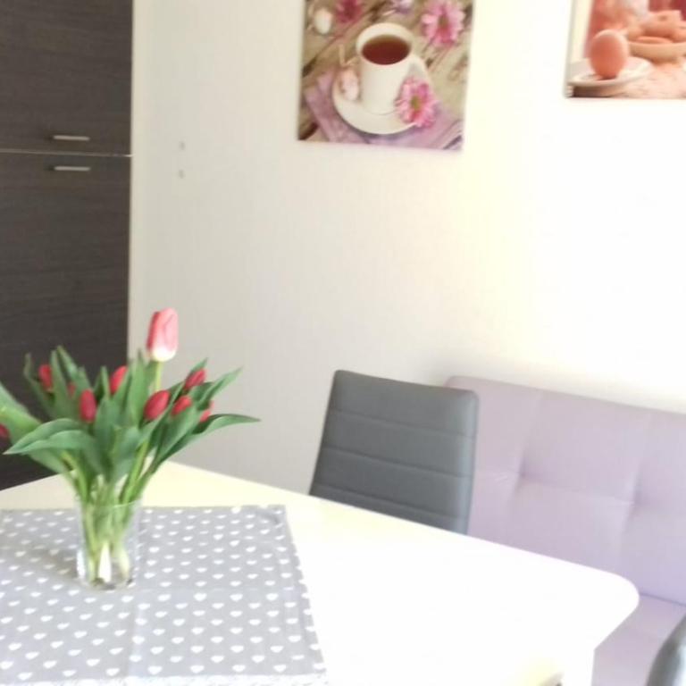 Clizia Apartment - Appartamento - 19