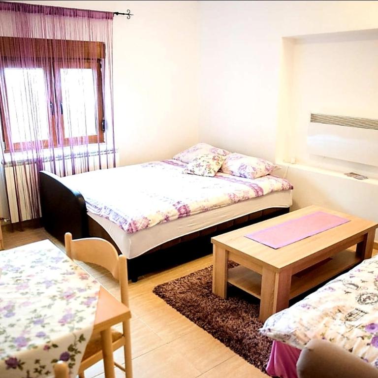 Apartments Popovic - Studio sa Terasom - 1