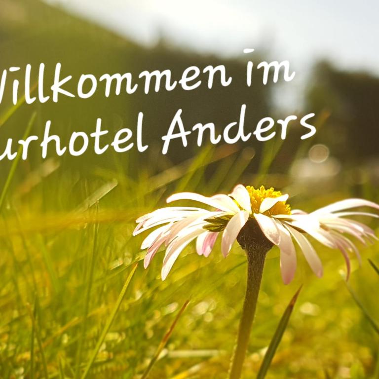 Kurhotel Anders - Standard Einzelzimmer - 11