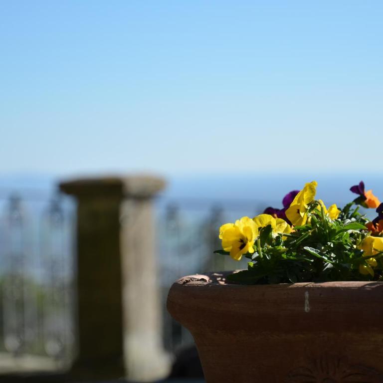 Donnaberarda - Appartamento con Vista Giardino - 12