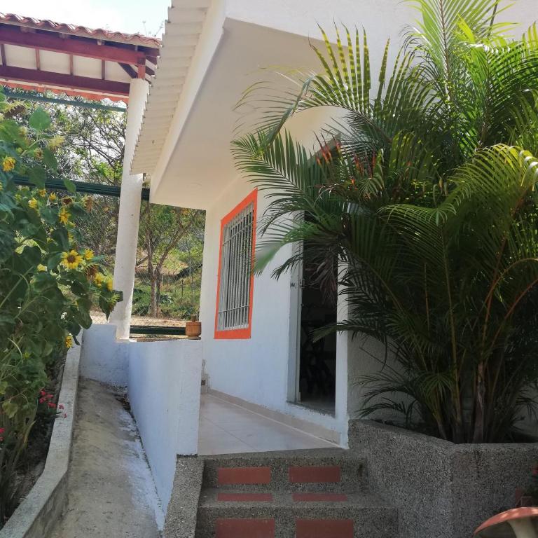 Cabañas Ecoturísticas Mi Terruño Tayrona - Habitación Familiar con vistas al jardín - 7
