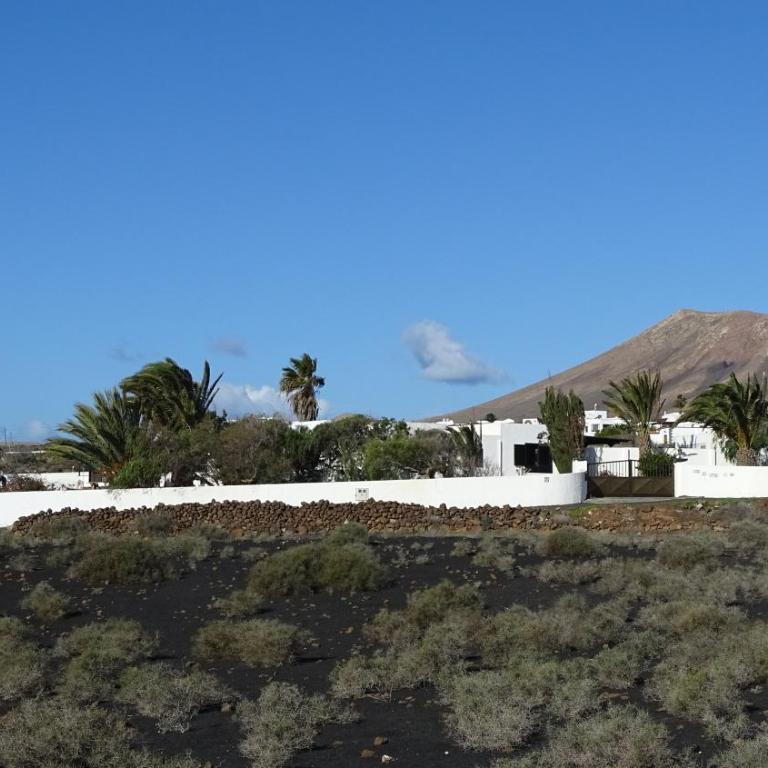 Villa Canto - Villa - 11