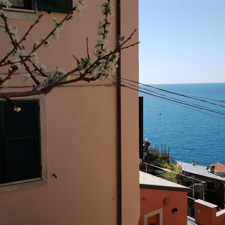 "Sunset Garden" apartment - Appartement 2 Chambres - 32
