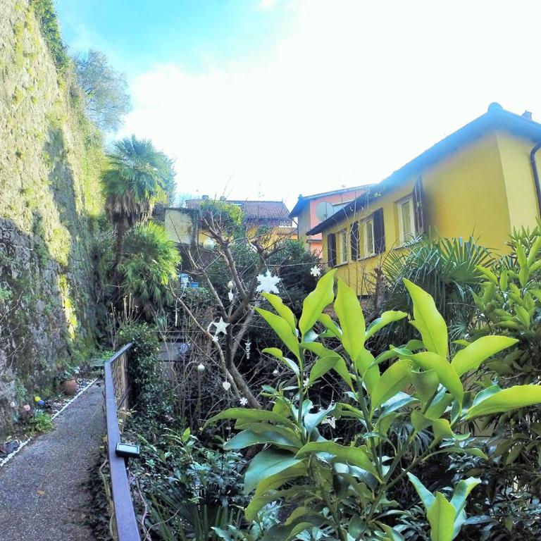Cozy Garden Retrait - Appartamento con 1 Camera da Letto - 2