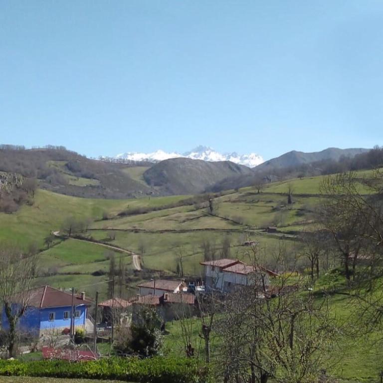 Los Balcones de Nieda - Chalet - 45