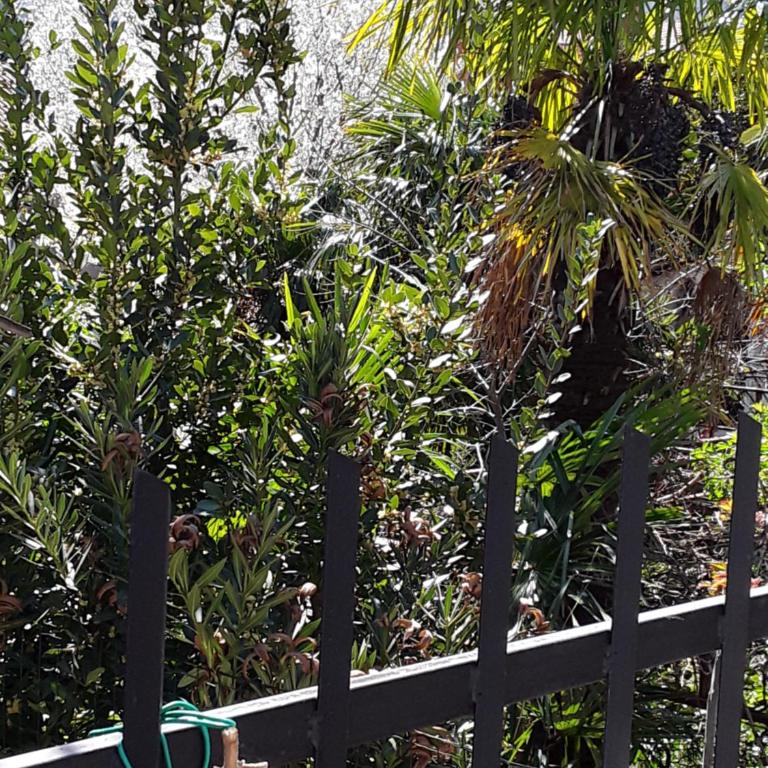 Villa Flower with Free Onsite Parking - Studio - 1