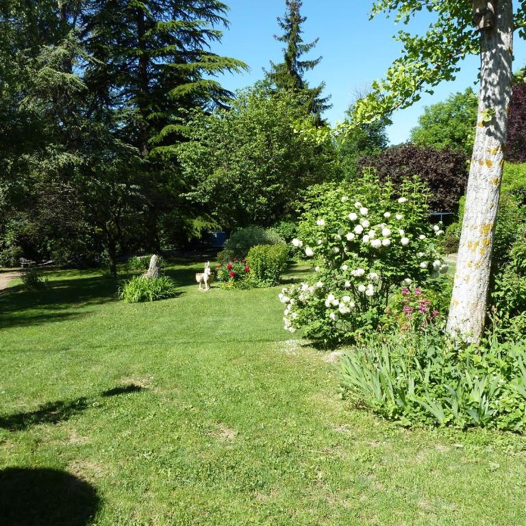 Vue sur les montagnes - Appartement - Rez-de-Chaussée - 15