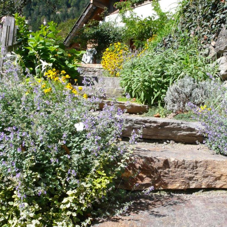 Obergereuth Hof 1288 - Appartamento con Vista Giardino - 1