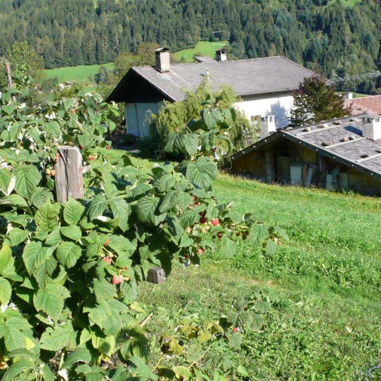 Obergereuth Hof 1288 - Appartamento con Vista Giardino - 42