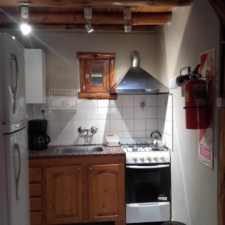 CABAÑAS LOS PATOS - Chalet de 2 dormitorios - 13