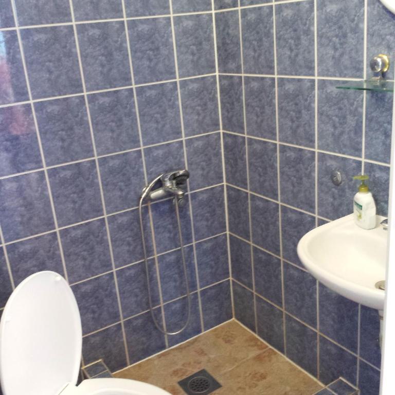 Apartments & Hostel Zdrava Hrana - Single Bed in 5-Bed Dormitory Room - 5