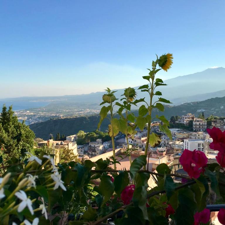 BellaVista Apartments - One-Bedroom Apartment with Terrace - 1