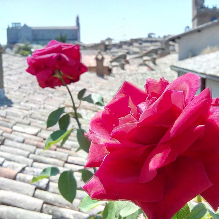 Orvieto in Terrazza - Appartamento con 3 Camere da Letto - 2