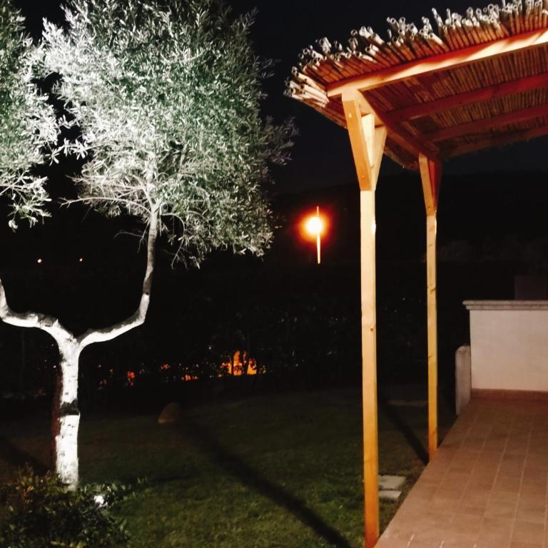 A Lu Ponti - Monolocale con Vista Giardino - 6