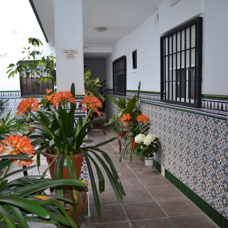 Nuevo Sueño del Alcazar - Apartamento de 1 dormitorio - 11