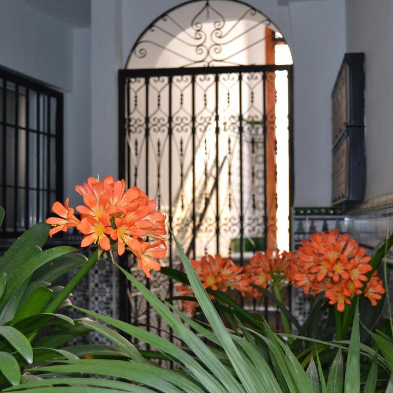 Nuevo Sueño del Alcazar - Apartamento de 1 dormitorio - 12