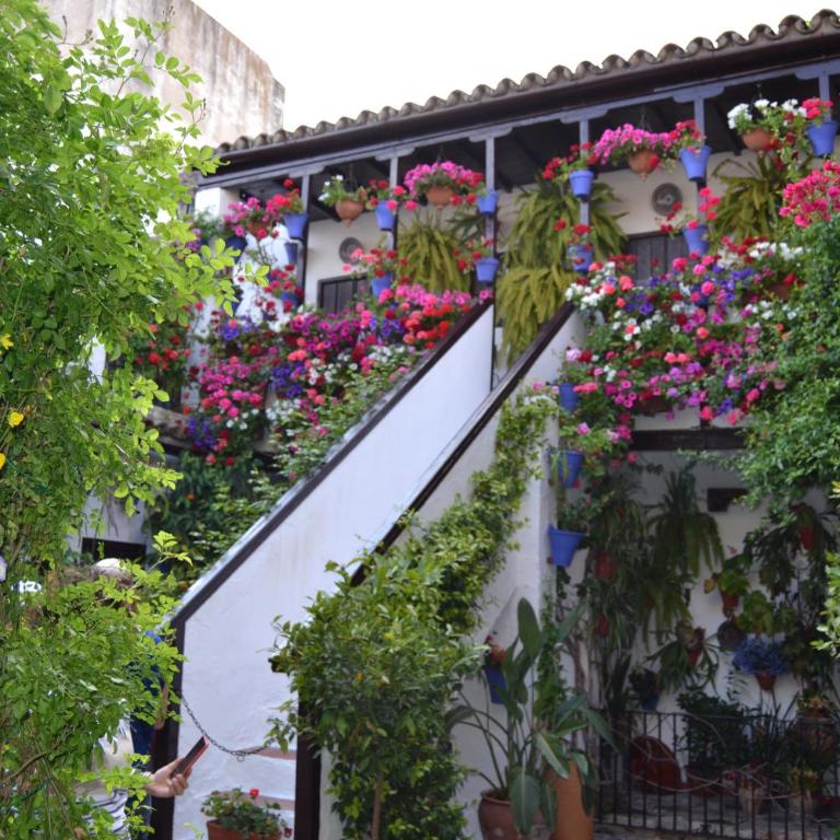 Nuevo Sueño del Alcazar - Apartamento de 1 dormitorio - 20