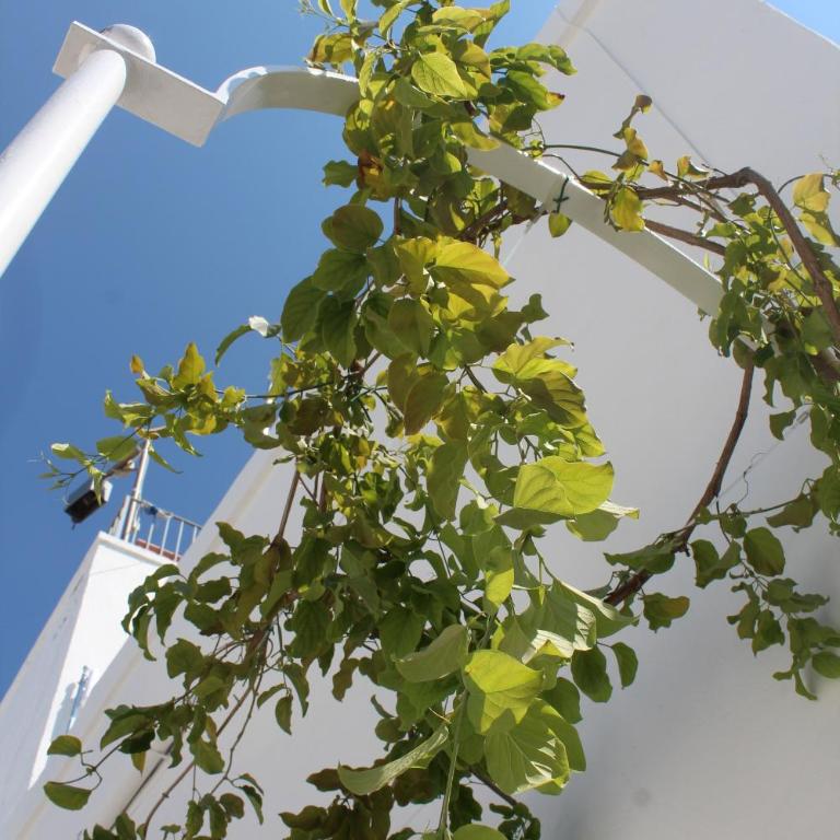 L'Angolo di Ostuni - Home&Terracex4 - Appartamento su 2 Livelli con 2 Camere da Letto - 44