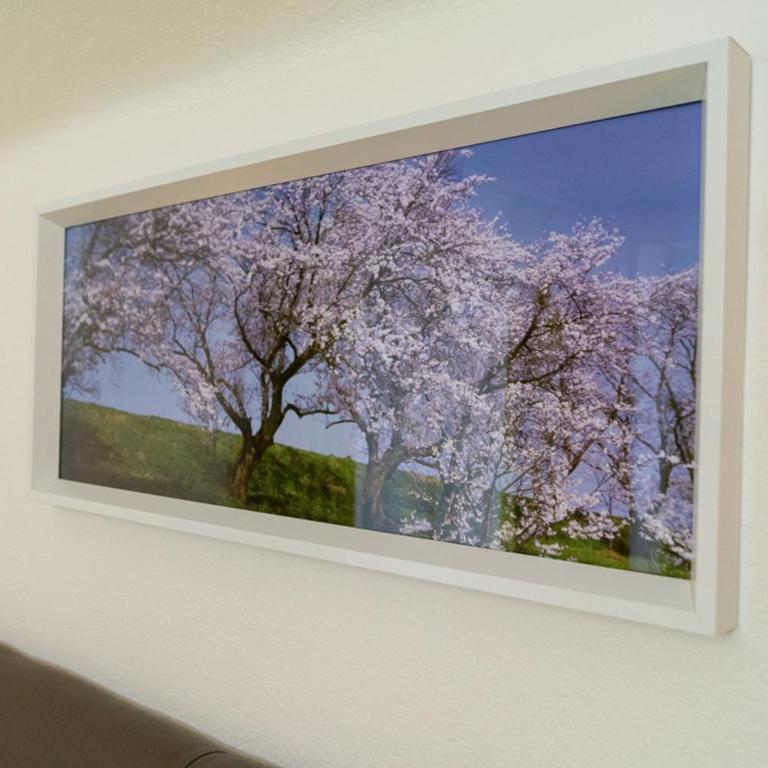 Appartementhaus Monika - Apartment mit 3 Schlafzimmern und Balkon - 2