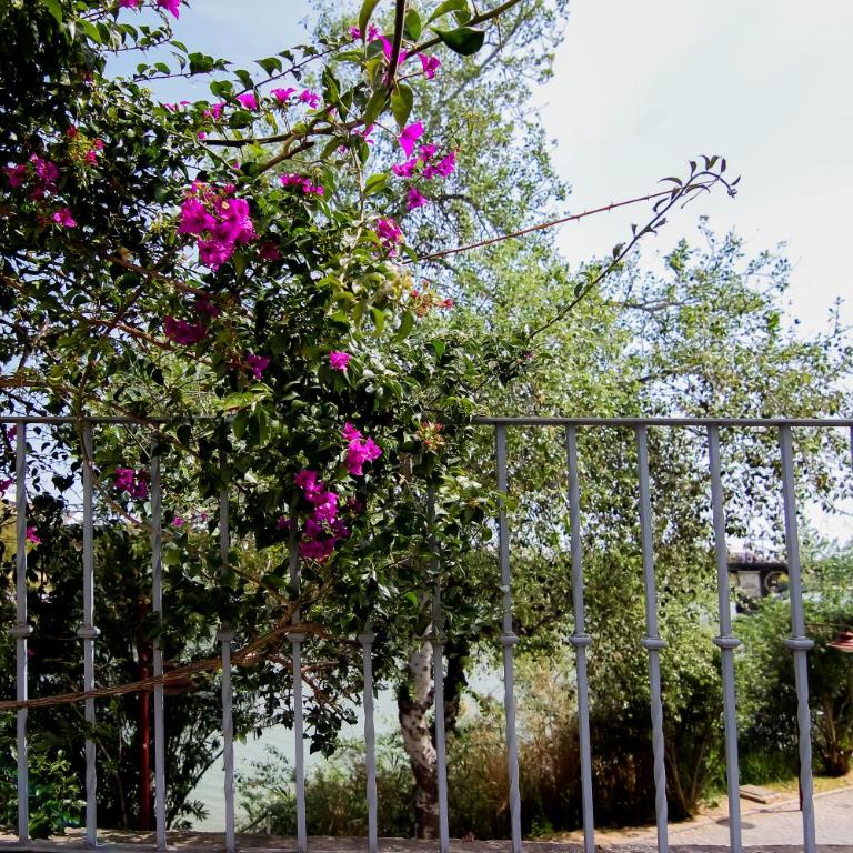 Misterhost Triana Patio de las Flores - Apartamento - Planta baja - 23