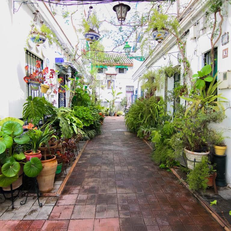 Misterhost Triana Patio de las Flores - Apartamento - Planta baja - 26