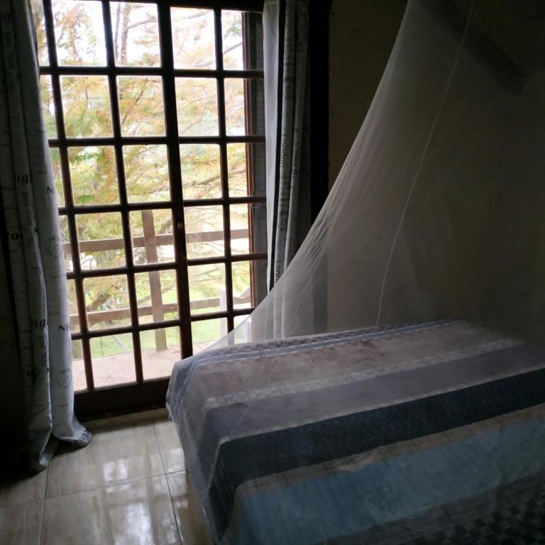 Posada dos Palmas - Double Room with Private Bathroom - 2