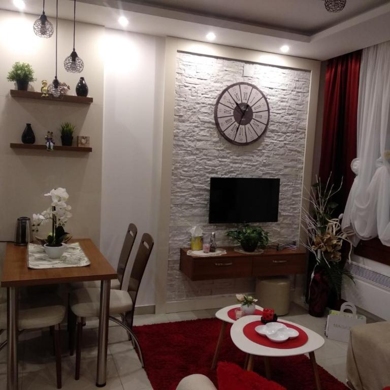 Vesna Apartman - Apartman sa 1 Spavaćom Sobom - 13