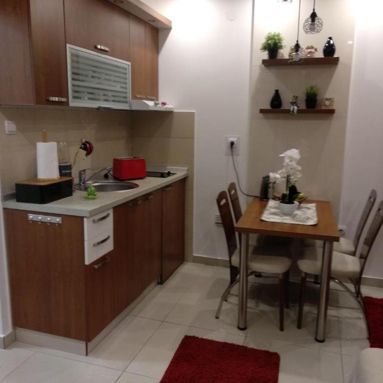 Vesna Apartman - Apartman sa 1 Spavaćom Sobom - 14