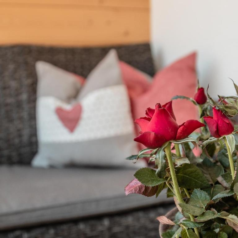 Chalet Morin - Appartamento - 19